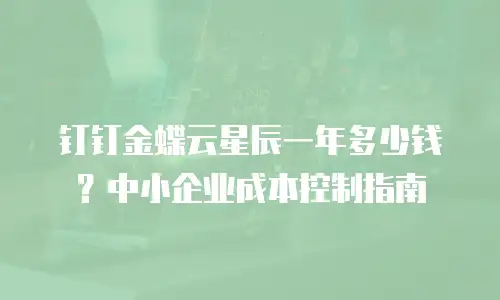 钉钉金蝶云星辰一年多少钱？中小企业成本控制指南