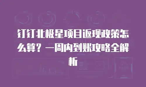 钉钉北极星项目返现政策怎么算？一周内到账攻略全解析
