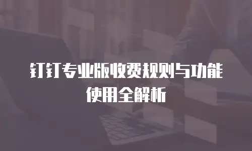 钉钉专业版收费规则与功能使用全解析