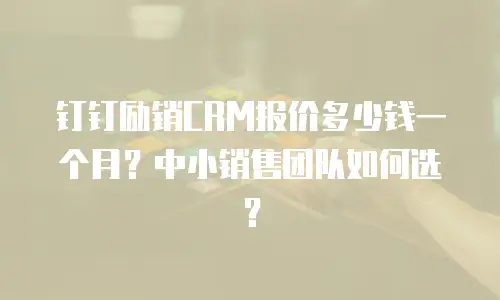 钉钉励销CRM报价多少钱一个月？中小销售团队如何选？