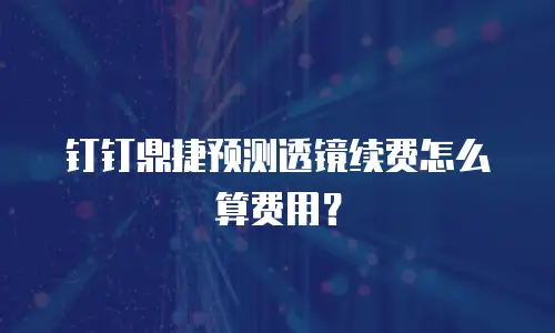钉钉鼎捷预测透镜续费怎么算费用？