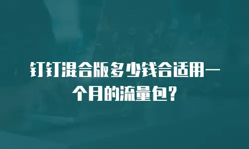 钉钉混合版多少钱合适用一个月的流量包？