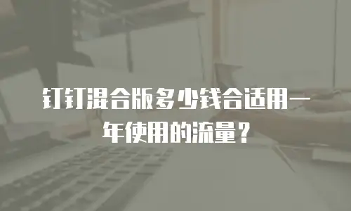 钉钉混合版多少钱合适用一年使用的流量？