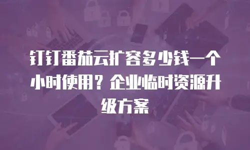 钉钉番茄云扩容多少钱一个小时使用？企业临时资源升级方案