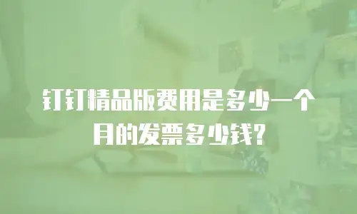 钉钉精品版费用是多少一个月的发票多少钱？