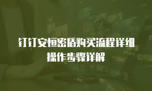 钉钉安恒密盾购买流程详细操作步骤详解
