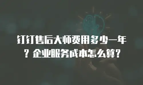 钉钉售后大师费用多少一年？企业服务成本怎么算？