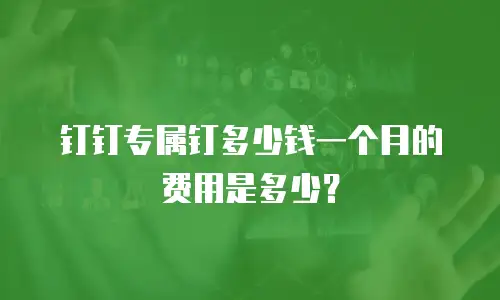 钉钉专属钉多少钱一个月的费用是多少？