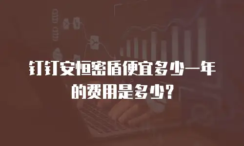 钉钉安恒密盾便宜多少一年的费用是多少？