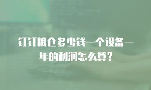 钉钉粮仓多少钱一个设备一年的利润怎么算？