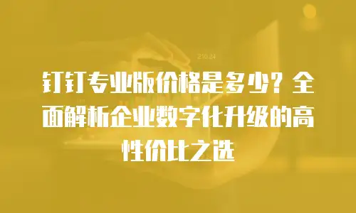 钉钉专业版价格是多少？全面解析企业数字化升级的高性价比之选