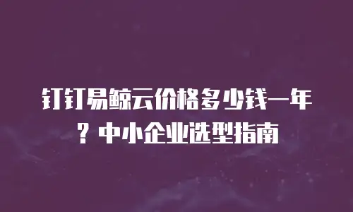 钉钉易鲸云价格多少钱一年？中小企业选型指南