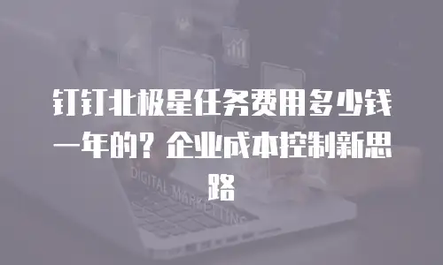 钉钉北极星任务费用多少钱一年的？企业成本控制新思路