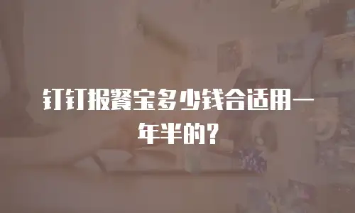 钉钉报餐宝多少钱合适用一年半的？