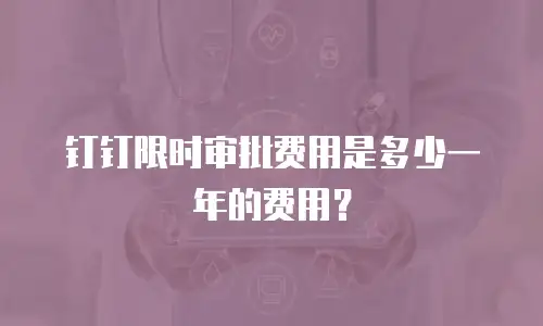 钉钉限时审批费用是多少一年的费用？