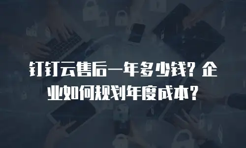 钉钉云售后一年多少钱？企业如何规划年度成本？