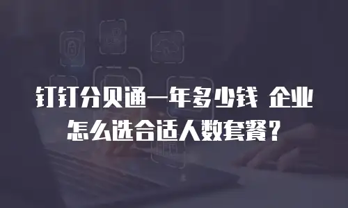 钉钉分贝通一年多少钱 企业怎么选合适人数套餐？