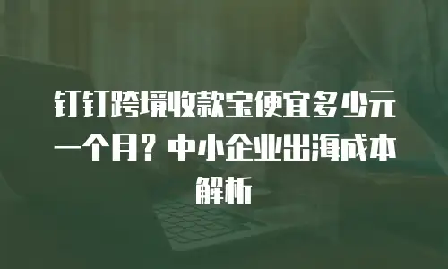 钉钉跨境收款宝便宜多少元一个月？中小企业出海成本解析