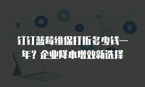 钉钉蓝莓维保打折多少钱一年？企业降本增效新选择