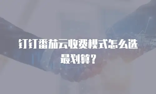 钉钉番茄云收费模式怎么选最划算？