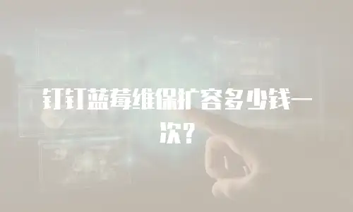 钉钉蓝莓维保扩容多少钱一次？