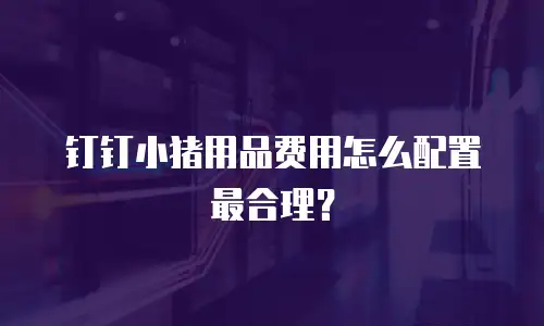 钉钉小猪用品费用怎么配置最合理？
