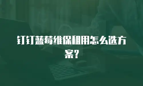 钉钉蓝莓维保租用怎么选方案？
