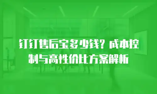 钉钉售后宝多少钱？成本控制与高性价比方案解析