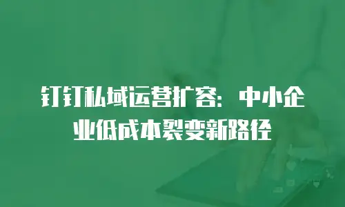 钉钉私域运营扩容：中小企业低成本裂变新路径