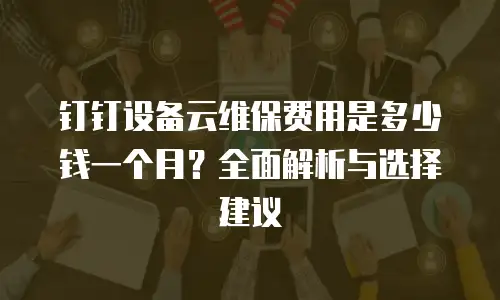 钉钉设备云维保费用是多少钱一个月？全面解析与选择建议