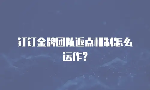 钉钉金牌团队返点机制怎么运作？