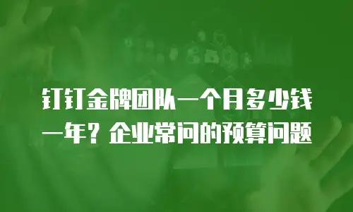 钉钉金牌团队一个月多少钱一年？企业常问的预算问题