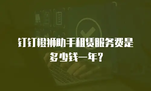 钉钉橙狮助手租赁服务费是多少钱一年？