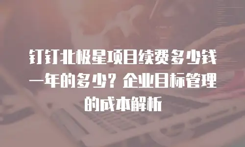 钉钉北极星项目续费多少钱一年的多少？企业目标管理的成本解析