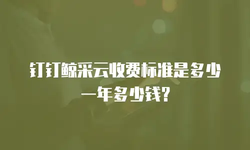 钉钉鲸采云收费标准是多少一年多少钱？