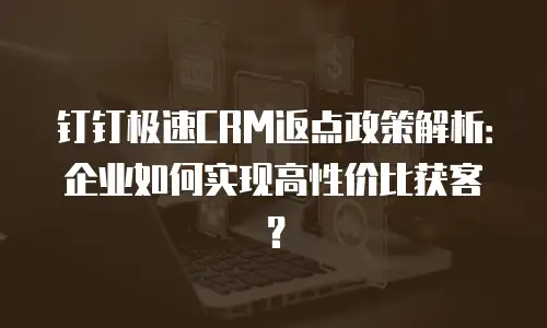 钉钉极速CRM返点政策解析：企业如何实现高性价比获客？