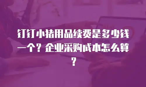钉钉小猪用品续费是多少钱一个？企业采购成本怎么算？