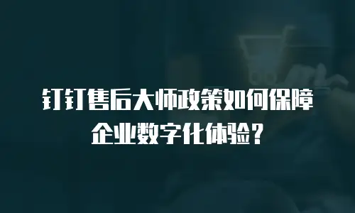 钉钉售后大师政策如何保障企业数字化体验？