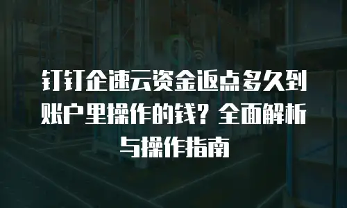 钉钉企速云资金返点多久到账户里操作的钱？全面解析与操作指南