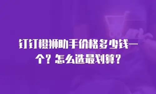 钉钉橙狮助手价格多少钱一个？怎么选最划算？