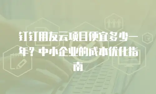 钉钉用友云项目便宜多少一年？中小企业的成本优化指南
