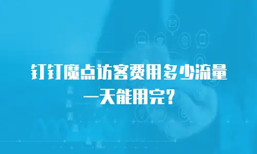 钉钉魔点访客费用多少流量一天能用完？