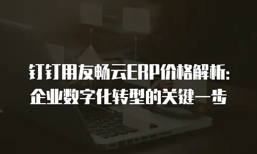 钉钉用友畅云ERP价格解析：企业数字化转型的关键一步