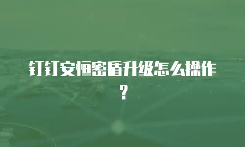 钉钉安恒密盾升级怎么操作？
