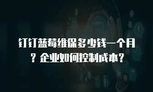 钉钉蓝莓维保多少钱一个月？企业如何控制成本？