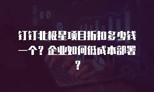 钉钉北极星项目折扣多少钱一个？企业如何低成本部署？