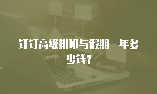 钉钉高级排班与假期一年多少钱？