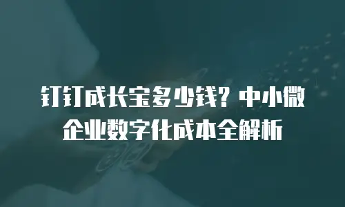 钉钉成长宝多少钱？中小微企业数字化成本全解析