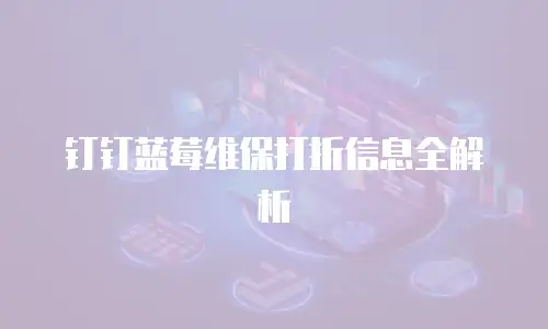 钉钉蓝莓维保打折信息全解析