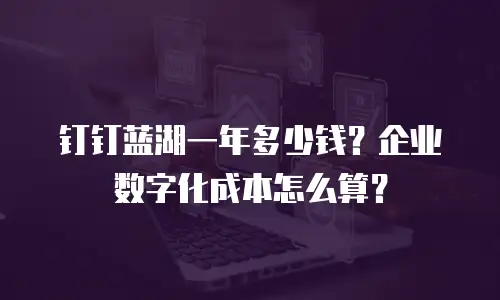 钉钉蓝湖一年多少钱？企业数字化成本怎么算？